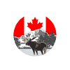 Canada - Moose - Canada - moose
