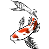 japanese carp