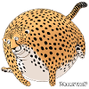 Rollin'Wild - Cheetah