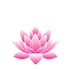 Lotus Blossom Flower Namaste