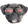 party on