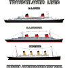 TRANSATLANTIC LINES Louis RUNEMBERG © Adagp