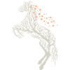 Pferd Baum Kirschblüten