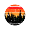 Fir Forest Sunset Nature