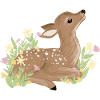 Fawn in spring
