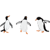 Happy penguin trio