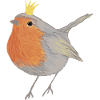 Robin princess