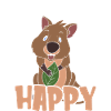 Quokka