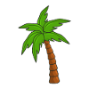 palm tree