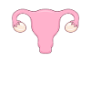 Livmoder Livmoder Feminisme Feministisk jordemoder