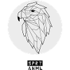 Geometric eagle