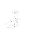 Sketch rose