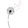 Pusteblume Saint-Valentin