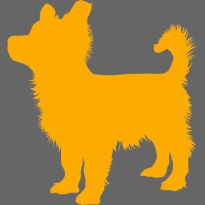 Puschi Design