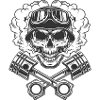 crane piston bikers