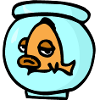 Bored fisk