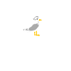 Moin