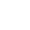 Introvert Definition