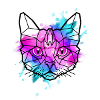 geometric cat