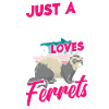 Funny ferret owner, ferret lover