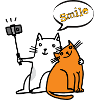 Smile Cat Cats Funny Funny