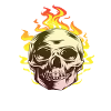 Burn skull design fun gift