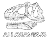 Allosaurus Fossil