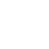 Physiker Witz Schrödingers Katze