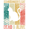Physics experiment Schrödinger's cat