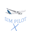 Flight Simulator Simmer Simulation MSFS Gift