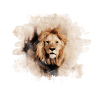 Lion splash