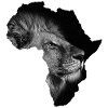 continent africa lion