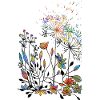 Fleurs