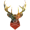 deer head in autumn