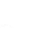 Evolution Promener chien