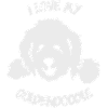Doodle Goldendoodle Labradoodle Chien