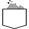 Chat dans la poche