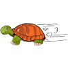 tortue dessin vitesse humour