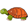 turtle drawing