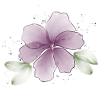 Flower magic