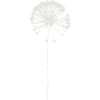 Mælkebøtte - øko, bæredygtig, minimalistisk