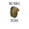 No Hugs Please Hedgehog