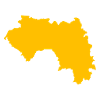 Guinea yellow