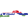 Gambia flag