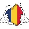 Romania Flag Romanian Romanian Gift Idea Cool