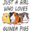 Funny guinea pig saying rodent