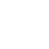 Corona Virus