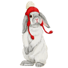 Winter rabbit