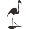 Flamingo Schwarz