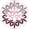 Lotus Blume des Lebens
